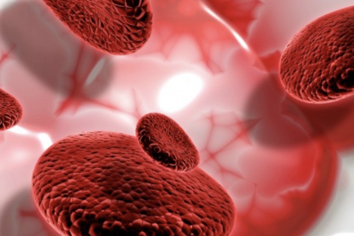 Normas de Buena Práctica Clínica en Investigación