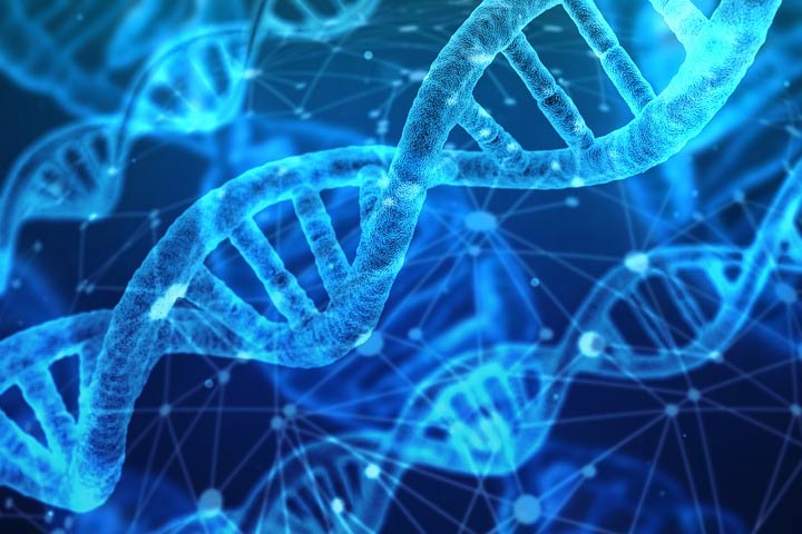Curso Introducción a la Bioinformática para Investigación Biomédica