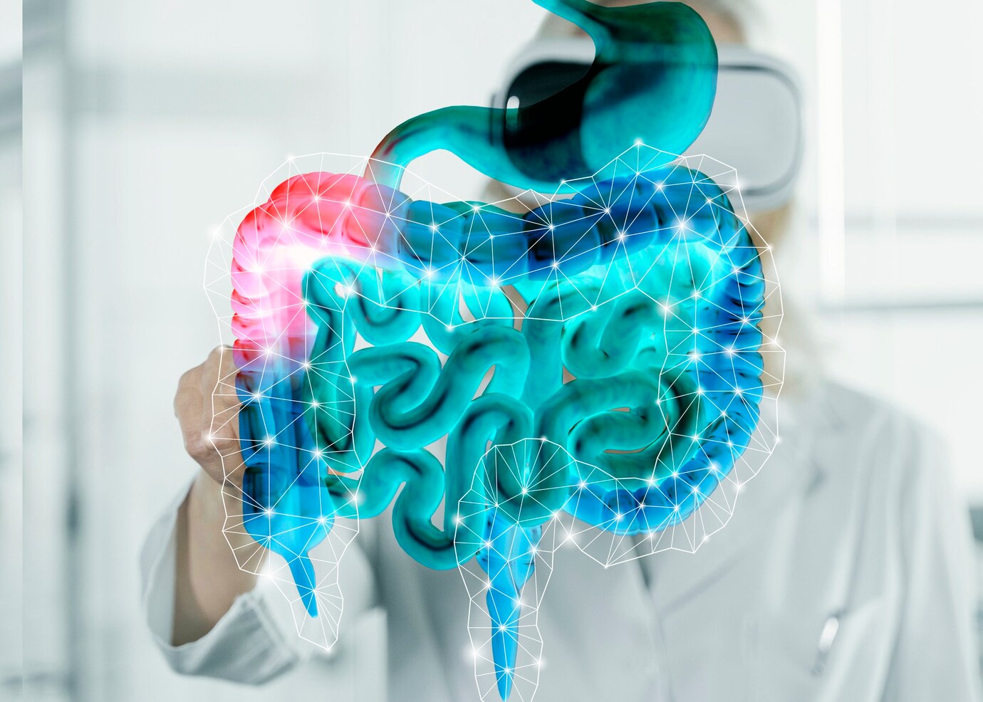 Formación Inicial de Enfermería en Aparato Digestivo y Endocrino (2026)