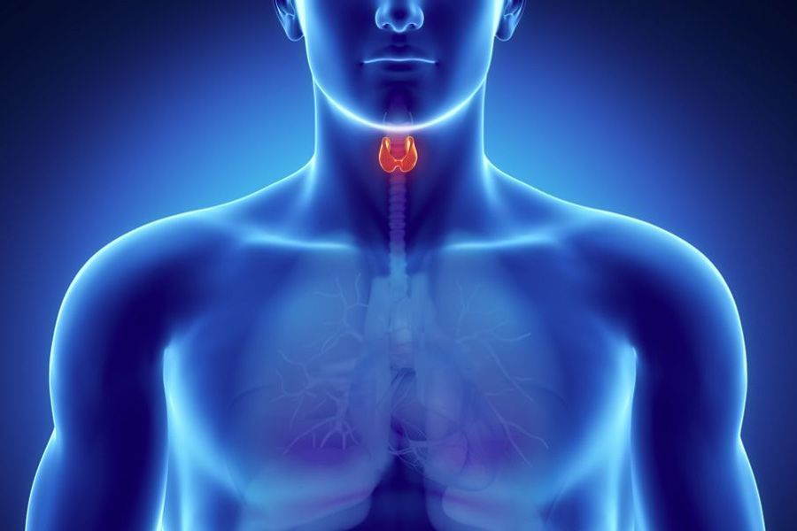 Curso Online Bases de Tiroidología y Paratiroidología